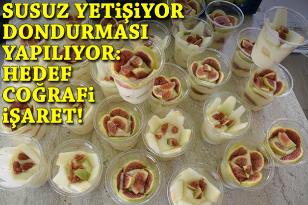Susuz yetişiyor, dondurması yapılıyor: Hedef coğrafi işaret!