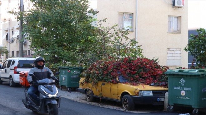 Taksi çiçek açtı: Belediye asfaltı yanından geçirdi!
