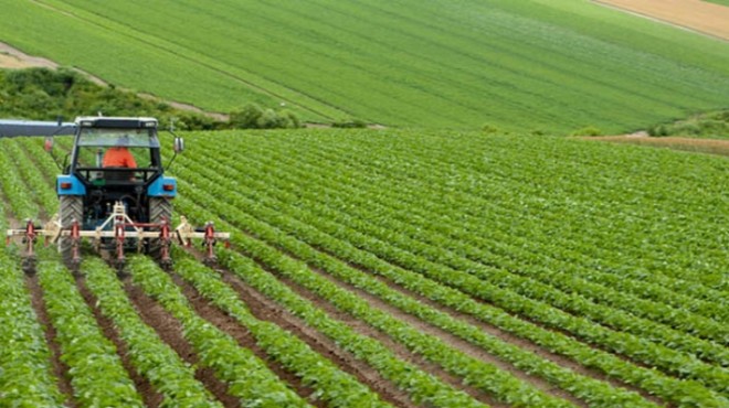 Tarımın ‘Silikon Vadisi' İzmir'de kurulacak