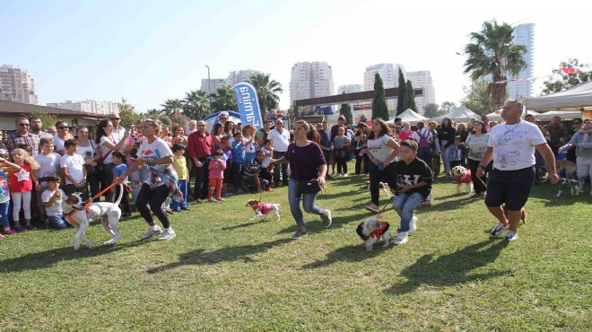 Tay Park'ta 'can dostlar' şenliği