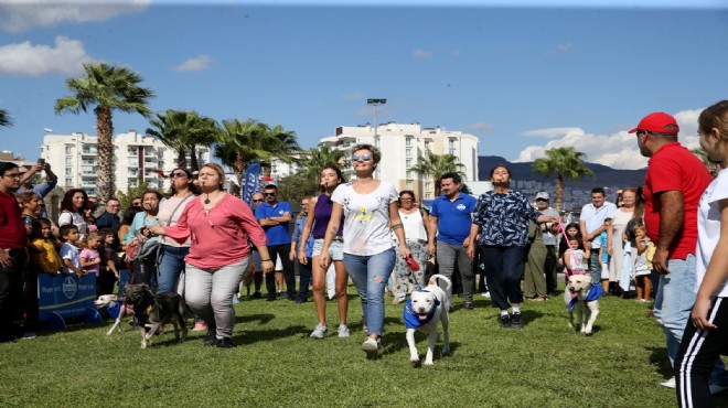 Taypark ta Patiyaka şenliği!