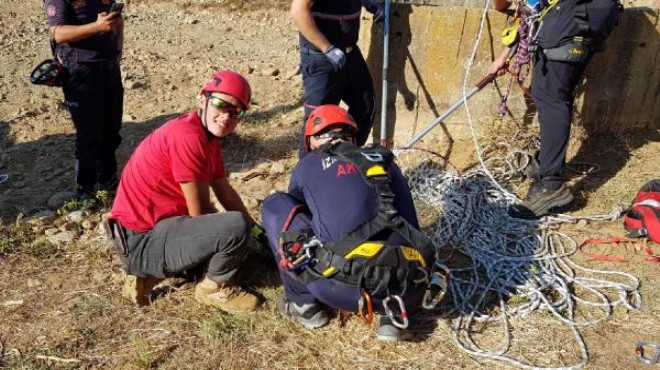 Tilki 6 saatlik operasyonla kuyudan kurtarıldı