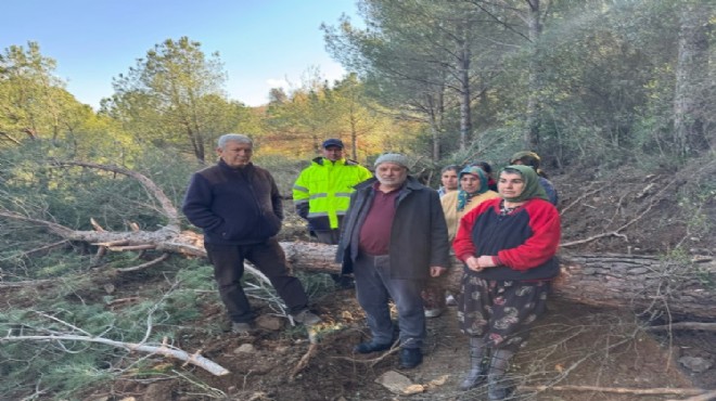 Tire de doğa kazandı: Danıştay dan yürütmeyi durdurma kararı!