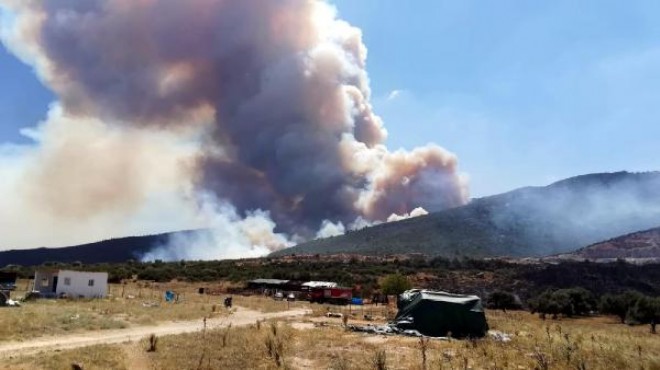 Torbalı'da 45 hektar yeşil kül oldu