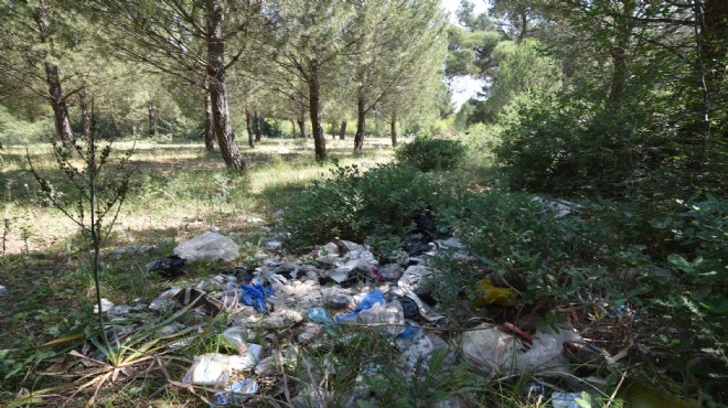 Torbalı'da vatandaşlar ormanı temizleyecek