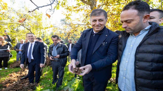 Tugay, kestane hasadına katıldı: Gözümüz gibi koruyacağız