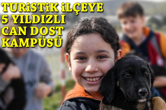 Turistik ilçeye 5 yıldızlı can dost kampüsü!
