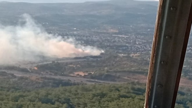 Urla'da ağaçlık alanda yangın çıktı