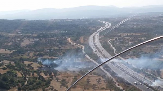 Urla'da orman yangını: Kontrol altına alındı