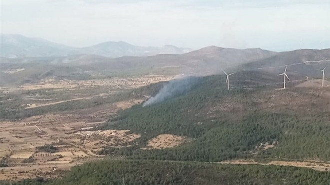 Urla da orman yangını paniği