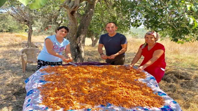 Urla'da tarhana şöleni zamanı