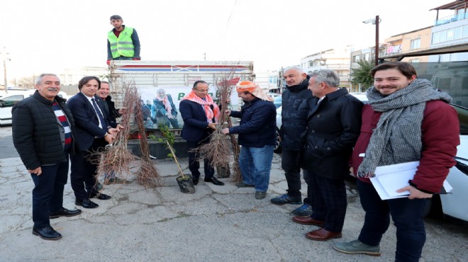 Urla da üreticiye fidan desteği