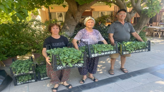 Urla’da üreticiye dev destek