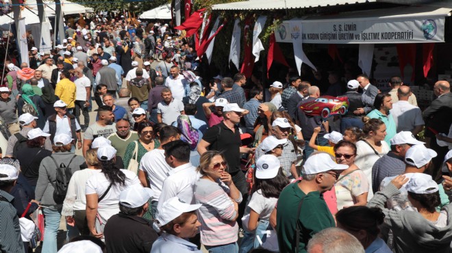 Üzüm şöleni: Kavacık doldu-taştı!