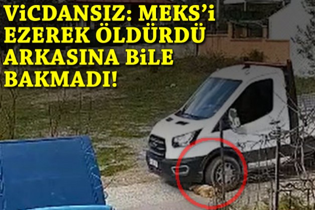 Vicdansız: Meks'i ezerek öldürdü, arkasına bile bakmadı!