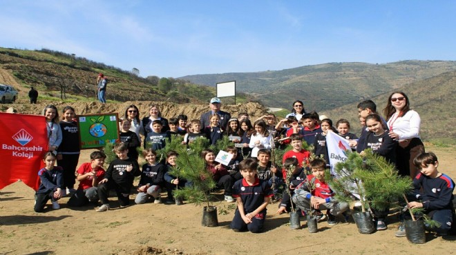 Yanan orman çocukların elleriyle yeniden yeşeriyor