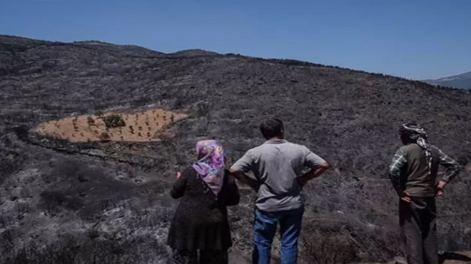 Yangında bir tek orası yanmadı: Yangından böyle korumuş!