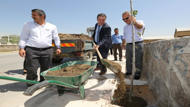 Yeşil seferberlik: 16 bin ağaç Buca dan yükseliyor