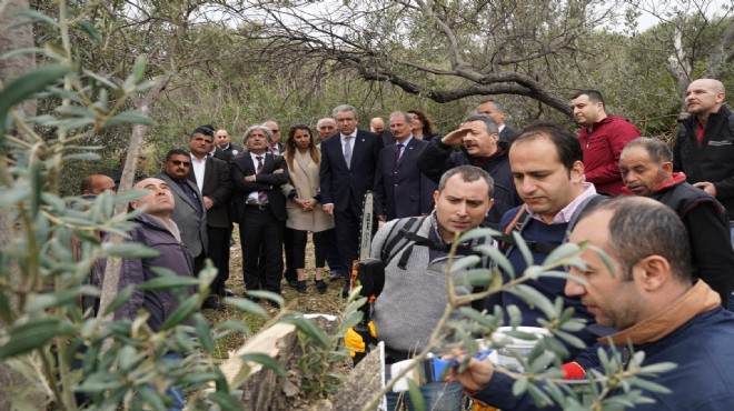 Zeytinde kamu iş birliği yola çıktı!