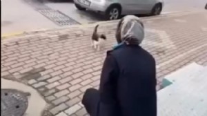 'Gel annem gel' diye çağırıp yağ çözücü sıktı!
