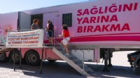 'Pembe Prenses' Aliağa'da!