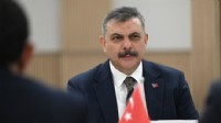 'Sokak hayvanlarının yüzde 99,22'si toplandı'