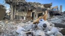 17 Ağustos'un yıl dönümünde İZDEDA'dan deprem vergisi sorusu!