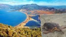 2 aydır haber yok: Güzel İzmir'in sinyali Gazze'de kesildi!