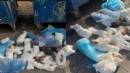 33 kedi katledilmişti: Veterinerin serbest bırakılmasına itiraz!