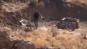 4 aylık köpeğe şiddet: Cani gözaltında!
