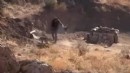 4 aylık köpeğe şiddet: Cani gözaltında!