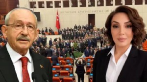 4 gün önce göreve gelmişti: 'Çerçeve Yasa' istifası