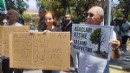 Ağaçlara kırmızı çarpı: Suat Seren'de tepki!