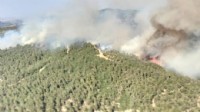Alevlere müdahale sürüyor: Balıkesir'de orman yangını!