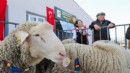 Aliağa Belediyesi’nden üreticiye yeni destek