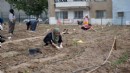 Avrupa’dan Bornova’ya kent bostanı incelemesi