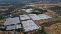 Bakanlıktan kalkınma hamlesi: İzmir'de hangi sektörler teşvik alacak?