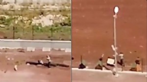 Barınakta şiddet: Personele soruşturma başlatıldı!