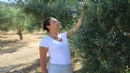 Başkan Sengel'den 'zeytin yasası' tepkisi: Toprağımıza dokunmayın