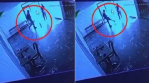 Belediyeye ait tesiste kediye şiddet!