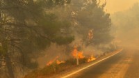 Bergama Kozak Yaylası alevlere teslim!