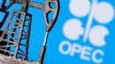 Birleşik Arap Emirlikleri OPEC'ten ayrılıyor