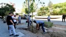 Bornova sakura ve tarçın kokacak