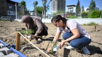 Bornova’da kadınlar için toplumsal dönüşüm tohumları
