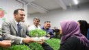 Bornova’da kırsala yeşil destek: 400 bin yazlık fide üreticiyle buluşuyor