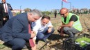 Bornova’nın üretim modeli Türkiye’ye yayılıyor