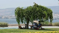 Bu yaz yine kavrulacağız!