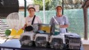 Buca'da 212 patili dost daha yeni ailesine kavuştu