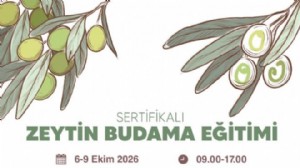 Buca'da ücretsiz zeytin budama eğitimi