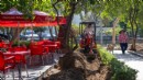 Büyükpark 4 mevsim yemyeşil olacak